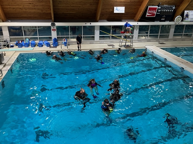 Pool Swim With Tank And Weight